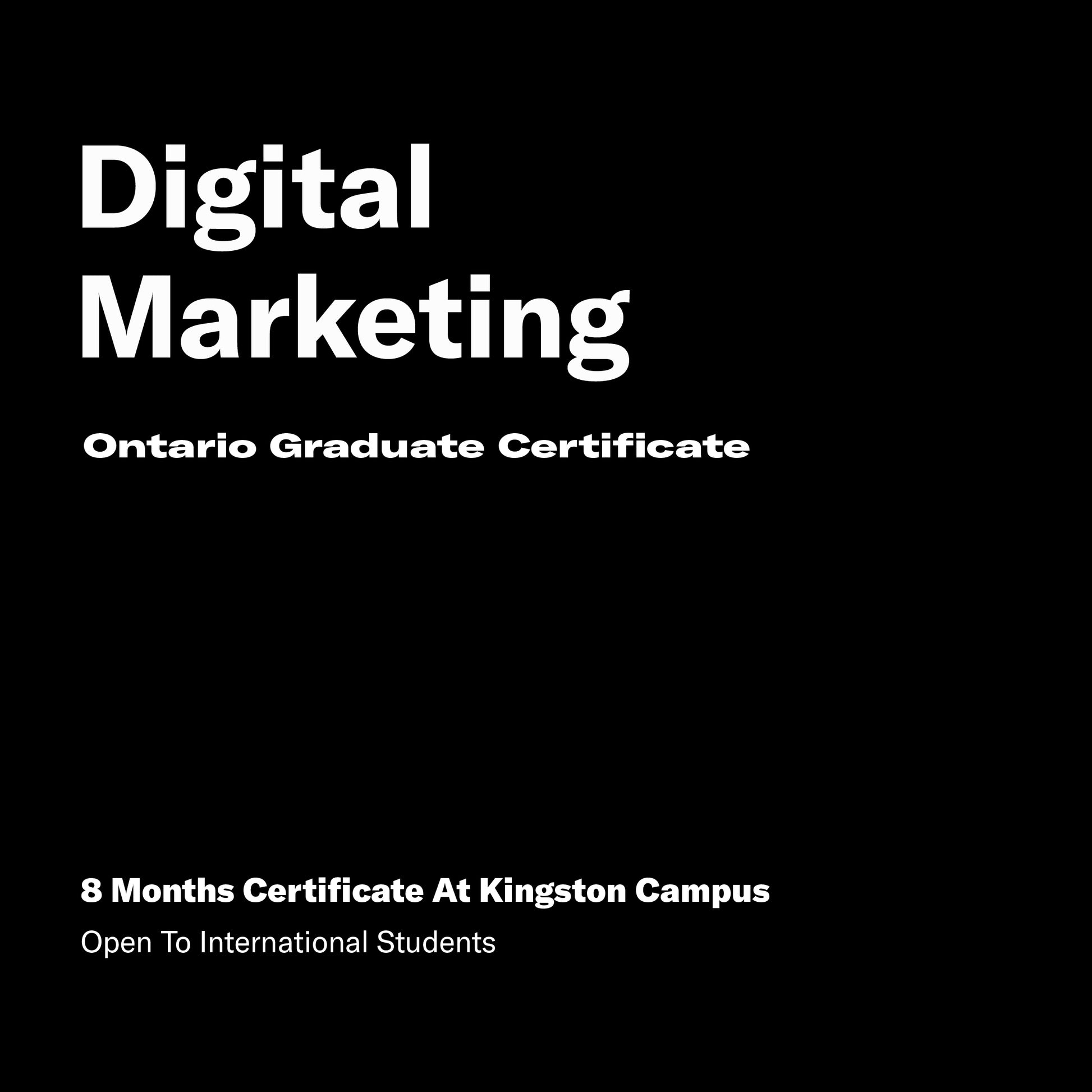 DMC Digital Marketing for Costumers